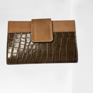 CARTERA AFRICA